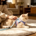 thumbnail image 4 of Btomtd Color Blocked Pet Strap And Leash Set Breathable Mesh Vests With Adjustable Straps Suitable For Small And Medium Cats And Dogs, 4 of 7