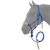 28JT Royal Blue Tough-1 Horse Size Rawhide Noseband Poly Nylon Rope Halter W/ Lead