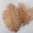 thumbnail image 2 of 50 Colorful Ostrich Feathers, Large Feathers, Wedding Background Wall Decoration, Internet Red Wall, White Pink Feathers, Flower Arrangement 15-20Cm E office supplies, 2 of 2