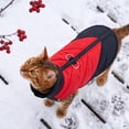 thumbnail image 4 of Warm Dog Kitty Winter Coat Thick Padded Pet Jacket Cold Weather Puppy Clothing Cozy Outdoor Apparel for Small Medium Dogs and Kitties, 4 of 6