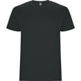 thumbnail image 1 of Roly T-Shirt Stafford pour Hommes, 1 of 4