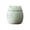 Green, variant on Cat Ceramic Storage Jar With Airtight Lid Coffee Canister Cute Animal Shaped Spice Container For Home Kitchen(Black-8Cm)