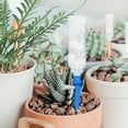 thumbnail image 5 of 6PCS Automatic Plant Self Watering Spikes With Control Tap Switch, 5 of 5