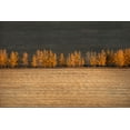 thumbnail image 2 of Tianqi 32x23 Black Ornate Wood Framed with Double Matting Museum Art Print Titled - Autumn Colors, 2 of 4