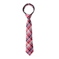 thumbnail image 1 of Spring Notion Cravate à Carreaux Tartan pour Garçon Rouge Moyen, 1 of 4