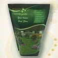 thumbnail image 3 of Outsidepride Candytuft Iberis Umbellata Annual Wildflower Plant Seed - 1/4 LB, 3 of 6