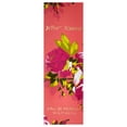 thumbnail image 3 of Betsey Johnson Betsey Johnson Eau De Parfum Spray for Women 1.6 oz, 3 of 8