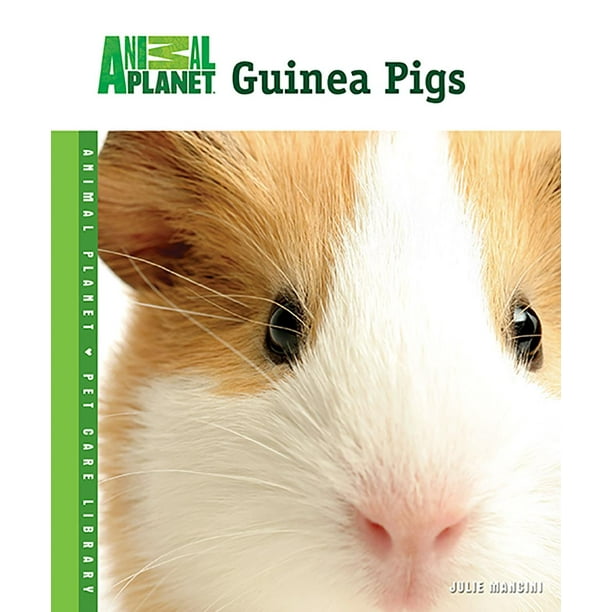 Guinea Pigs
