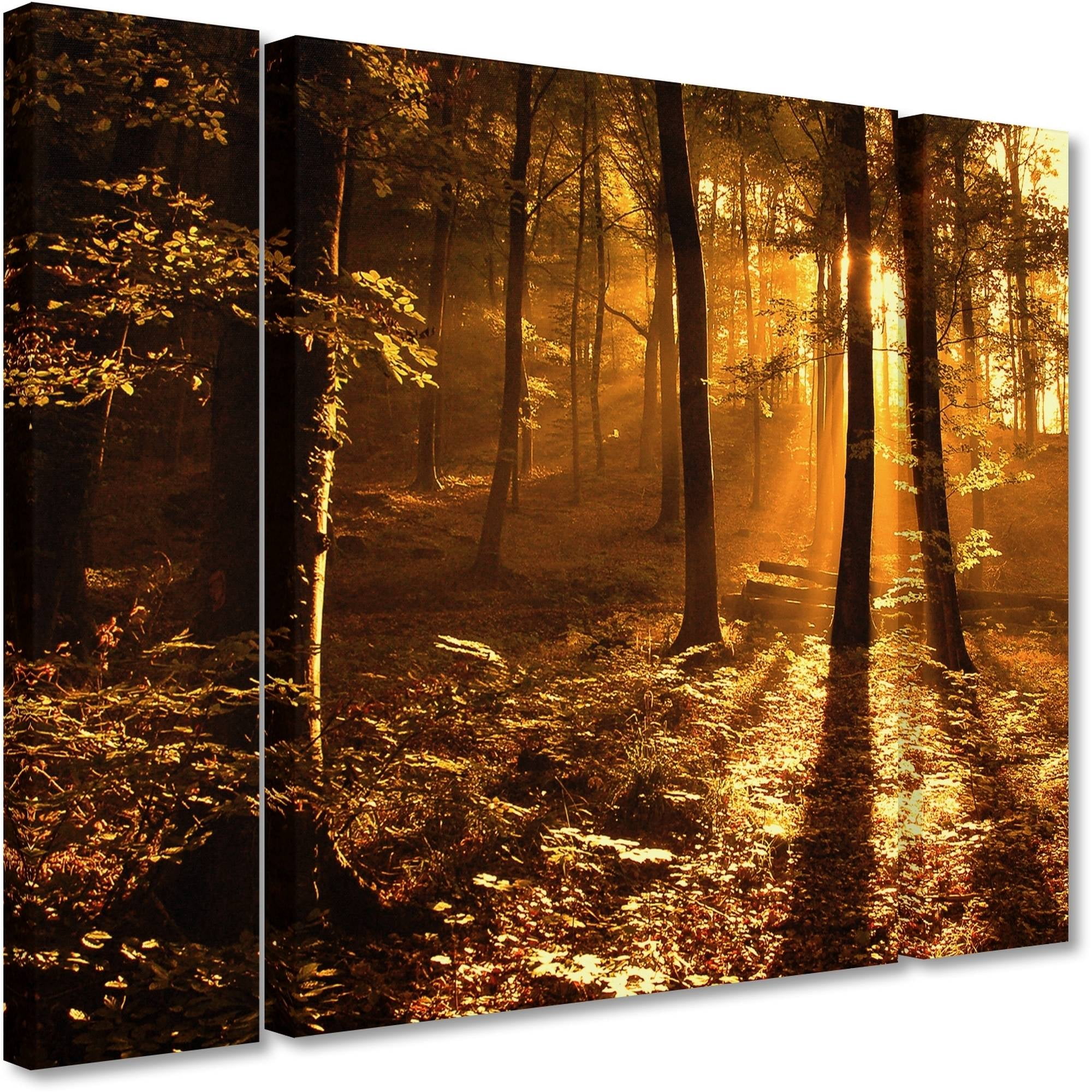 Trademark Fine Art "Morning Light" Canvas Art by Philippe Sainte-Laudy Three Panel Set