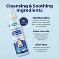 thumbnail image 4 of Spray Ventique Dermabliss con clorhexidina medicinal para perros y gatos, 240 ml, 4 of 8