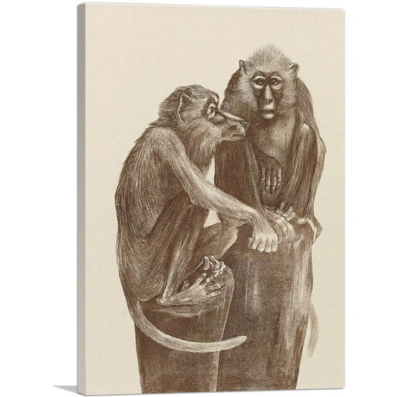 ARTCANVAS Two Monkeys Canvas Art Print by Theo Van Hoytema - Size: 40" x 26" (0.75" Deep)