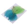 thumbnail image 2 of Hojas Secas Prensadas Sunnimix 10 piezas de magnolia para Manualidades de Bricolaje, 2 of 8
