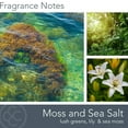 thumbnail image 2 of Colonial Candle Wellness Moss & Sea Salt Scented Jar Candle, 2 Wick, 16 oz, 60 Hours Burn, Fresh, 2 of 7