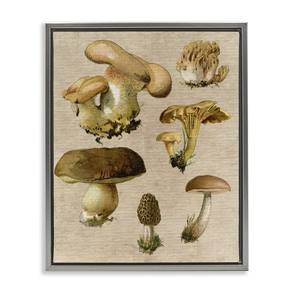 Stupell Industries Shabby Chic Vintage Mushroom Drawings Gray Floating Frame Canvas Art, 17 x 21, by Lil' Rue