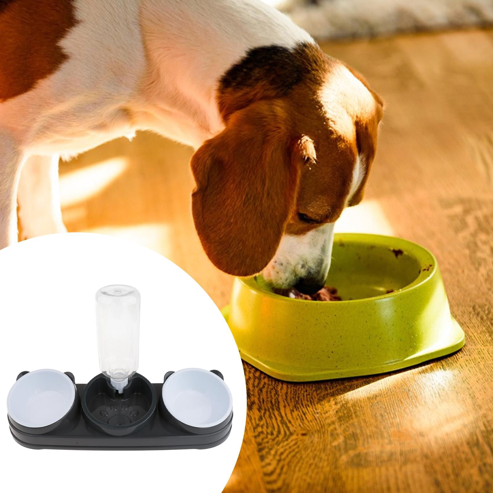 Cat Feeding Bowls Raised Waterer Food Tray Ergonomic Tilt PP Material for Indoor Cats and Puppies