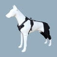 thumbnail image 2 of 2026 New Wag Wize Knee Brace Harness for Dogs,Wag Wize Dog Knee Brace for Torn Acl/Ccl Hind Leg,Wagwize Dog Hip Brace,Adjustable Support,Non-Slip,Breathable,Sufficient Wrapping(XL), 2 of 7