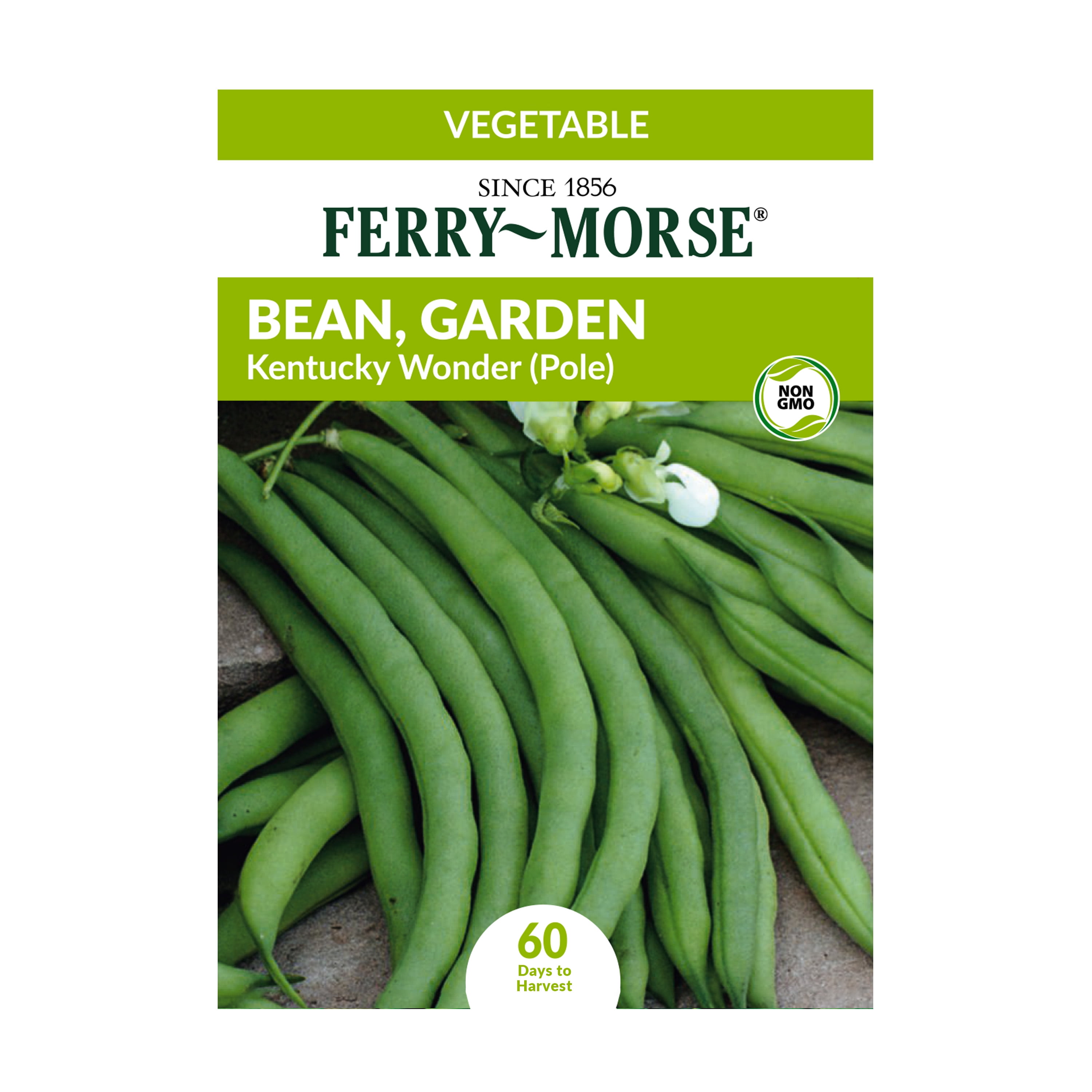 Ferry-Morse 9G Bean, Garden Kentucky Wonder (Pole) Vegetable Plant Seeds Packet