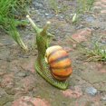 thumbnail image 4 of Esqueleto De Caracol De Terror, Estatua De Caracol De Jardín, Adorno De Resina Para Decoración Del Hogar Vogacara HA043107-02, 4 of 6
