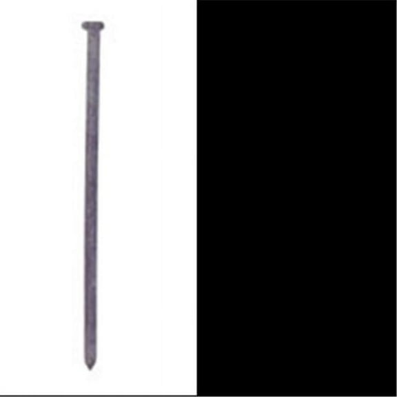 10HGSPK 10 in. Hot Galvanized Landscape Spike- - 50 lbs.