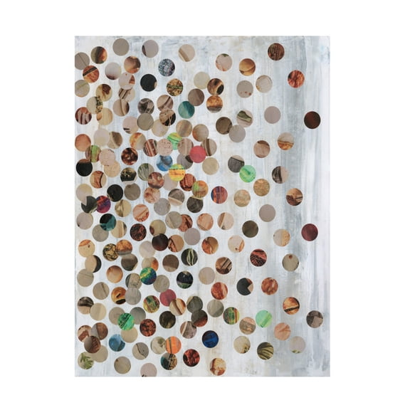 Trademark Fine Art Natalie Avondet 100 Pennies II Canvas Wall Art