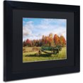 thumbnail image 2 of Trademark Fine Art 'The Old Rake' Canvas Art by Michael Blanchette Photography, Black Matte, Black Frame, 2 of 4