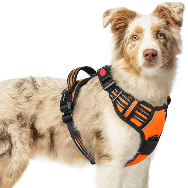 Arnés para perros Rabbitgoo, mejorado, no tira, color naranja medio