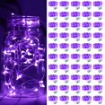 thumbnail image 1 of Mini LED Fairy Lights ZGWJ 20, funciona con pilas, 7 pies, 50 unidades, color morado, 1 of 6