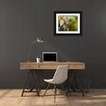 thumbnail image 3 of Williams, Joanne 14x12 Black Ornate Wood Framed with Double Matting Museum Art Print Titled - Madagascar Crested coua next to tree, 3 of 4