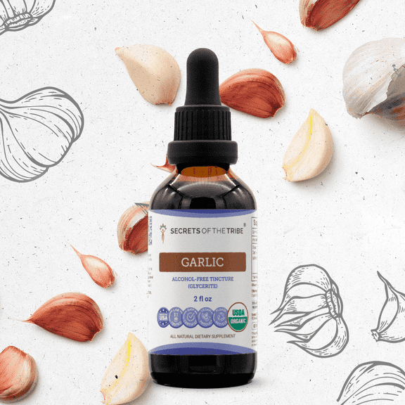 Secrets Of The Tribe Garlic Organic Tincture Dietary Supplement, Natural Herbal Extract for Immune Support, Certified Organic Garlic (Allium sativum) Dried Bulb, Alcohol-Free Extract, Drops 2 oz