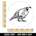thumbnail image 2 of Plump California Quail Rubber Stamp for Scrapbooking Crafting Stamping - Large 1-1/4 Inch, 2 of 7