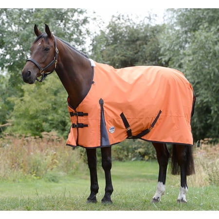 WeatherBeeta ComFITec Classic Standard Neck Turnout Sheet, 66"