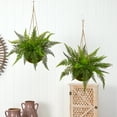 thumbnail image 4 of Nearly Natural Green 13" Leather Fern Polyester Artificial Plant with Hanging Basket, Set of 2, 4 of 5