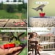 thumbnail image 4 of Humming Birds Feeders for Outside Plastic Hummingbird Feeders for Outdoors Hanging Handheld Multiple Hummingbird Feeder Station, 4 of 5