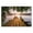 Misty Lake Sunrise Reflection, variant on Stupell Industries Farmhouse Dawn At The Shore Canvas Art, 24 x 16, by Christy McKee