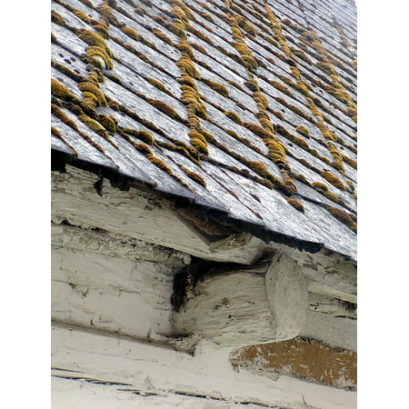 LAMINATED POSTER Moss Monument Roof House Old Beam Poster Print 24 x (Best Way To Get Moss Off Roof)