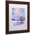 thumbnail image 2 of Trademark Fine Art "Cat O'Nine In Snow" Canvas Art by Michael Blanchette Photography White Matte, Wood Frame, 2 of 4