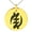 Gold, variant on Tioneer Stainless Steel Aztec Supremacy Rune Engraved Small Medallion Circle Charm Pendant Necklace