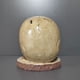 thumbnail image 2 of Soporte para Cuchillos Con Forma Calavera Esqueleto Resina Estante Almacenamiento Aterrador, 2 of 3