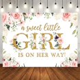 thumbnail image 1 of A Sweet Little Girl Is On the Way Baby Shower Backdrop, 1 of 5