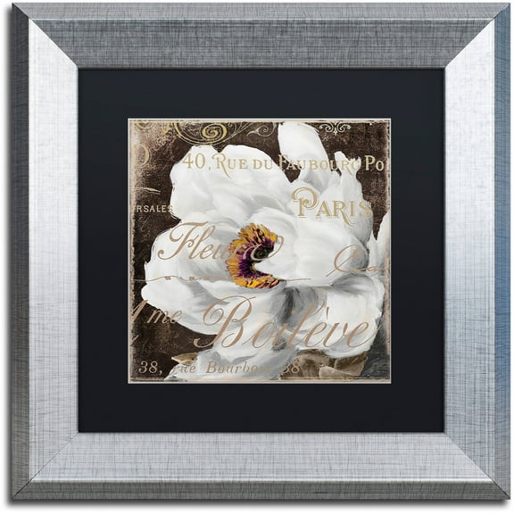 Trademark Fine Art "Fleurs Blanc III" Canvas Art by Color Bakery Black Matte, Silver Frame