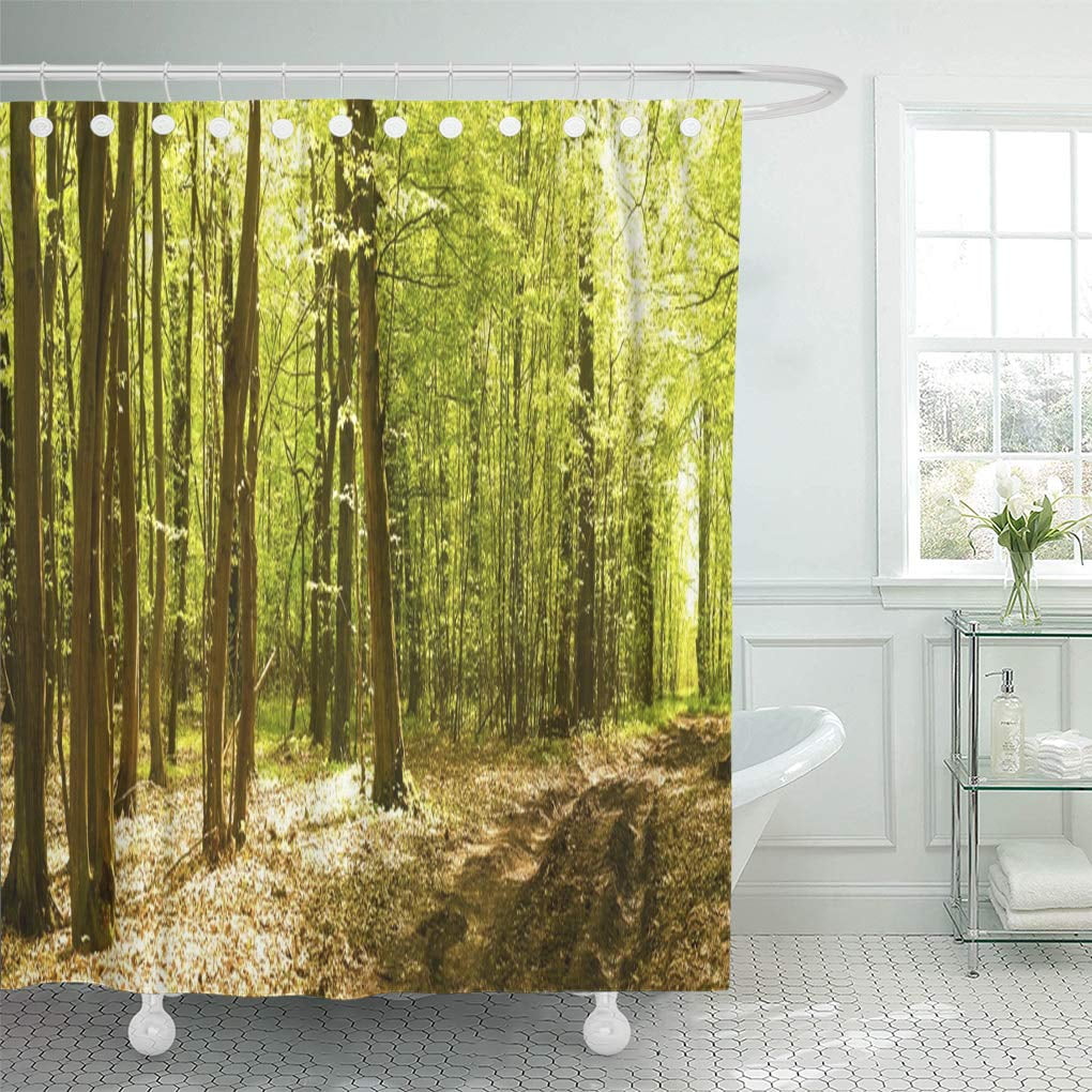 Cynlon Blue Wood Spring Landscape Of Young Grey Forest Green Bathroom Decor Bath Shower Curtain 66x72 Inch Walmart Com Walmart Com