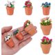 thumbnail image 1 of 5 piezas, 5 estilos, accesorios para plantas en miniatura, escala 1:12, maceta para rosas, modelo de jardín en maceta, decoración de micro paisajes, 1 of 5
