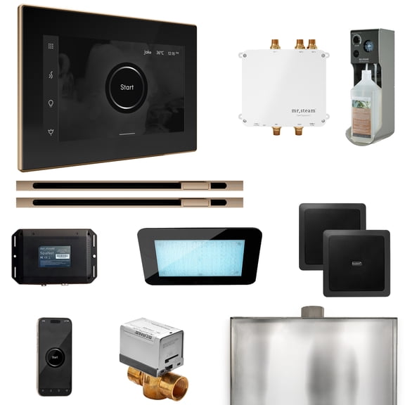 Mr Steam Bliss Max Steam Shower Pkg w/iSteamX Control and Linear Steamhead in Black Polished Gold