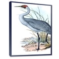 thumbnail image 3 of Ancient Australian Birds V 12 in x 20 in Framed Painting Canvas Art Print, by Designart, 3 of 4