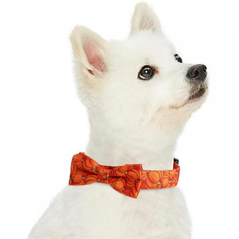  Leather Dog Collar,Extra Small Dog Collar,Halloween Cat Collar,Puppy  Collars,Cat Collars,Puppy Collar,Cute Dog Collar,Adjustable Dog Collar for  Growing Puppy,Pet Collar : Pet Supplies
