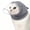 Gray, variant on Colenumone Cat Muzzle for Grooming, Breathable Mesh Cat Head Cover to Prevent Biting and Chewing, Adjustable See-Through Mask for Nail Trimming, Bathing, and Vet Visits