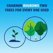 Charmin Ultra Strong Toilet Paper, 24 Mega XL