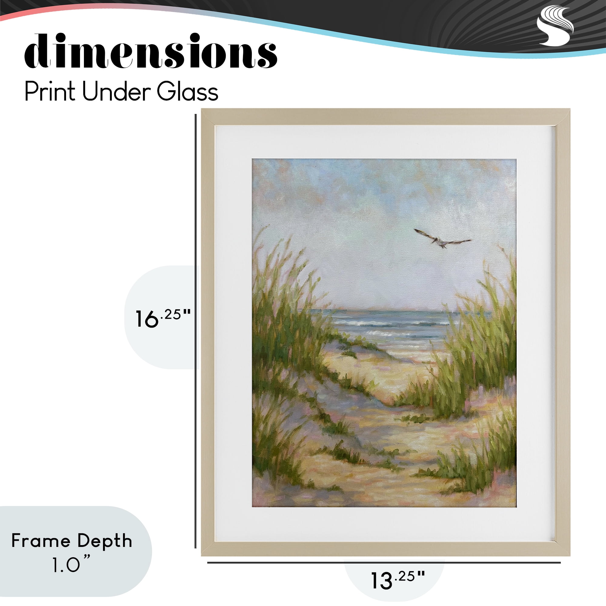Stupell Industries Peaceful Beach Sand Dunes Birch Framed Print Under Glass, design by Linda Sperruzzi