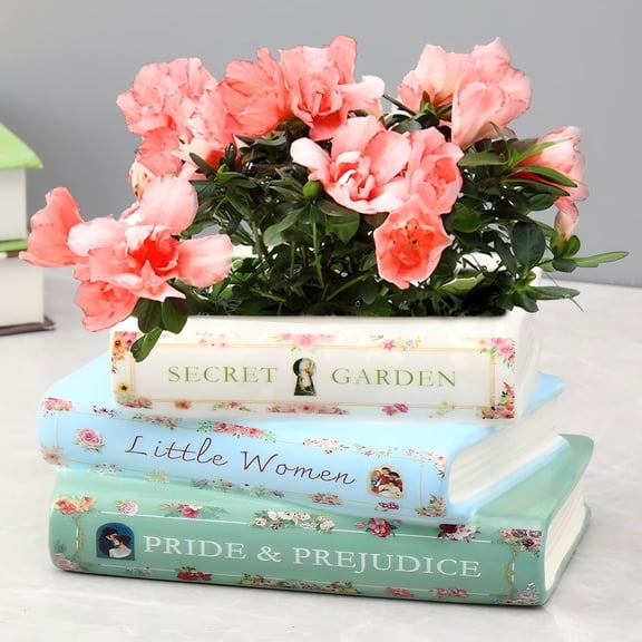 GARSHEON Book Planter, Ceramic Planters with Drainage Hole, Ceramic Book Vase for Flowers, Cute Plant Pot for Book Shelf Decor, Book Shaped Vase for Book Lovers Gifts, Book Lovers Women