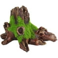 thumbnail image 4 of Penn-Plax Aqua-Flora Aquarium Living Resin Decorations with Embedded Glosso Plant Seeds - Safe for Freshwater Fish, 4 of 4
